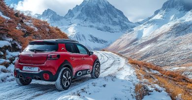 Histórias De Clientes E Sucessos Recentes Da Citroen